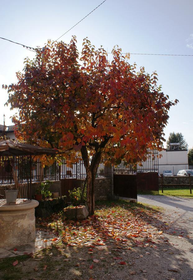 B&B Nella Terra Di Mezzo Caporiacco Exterior photo